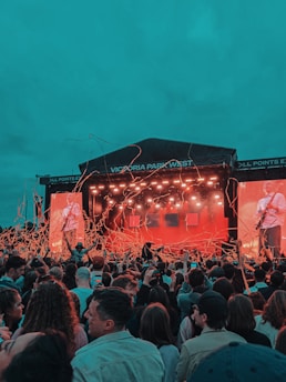 people gathering on concert during night time