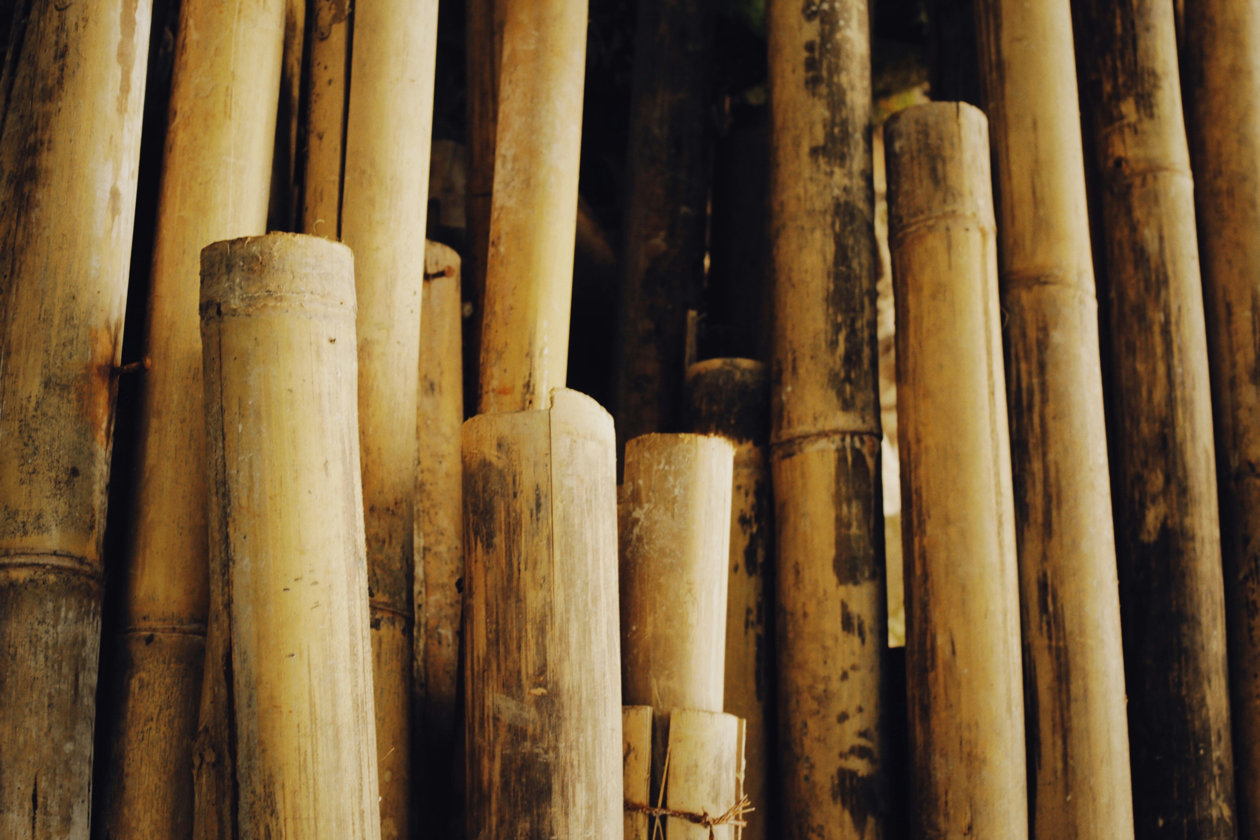 Brown bamboo sticks processing