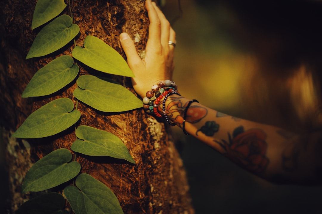 person in red and black bracelet holding brown tree trunk