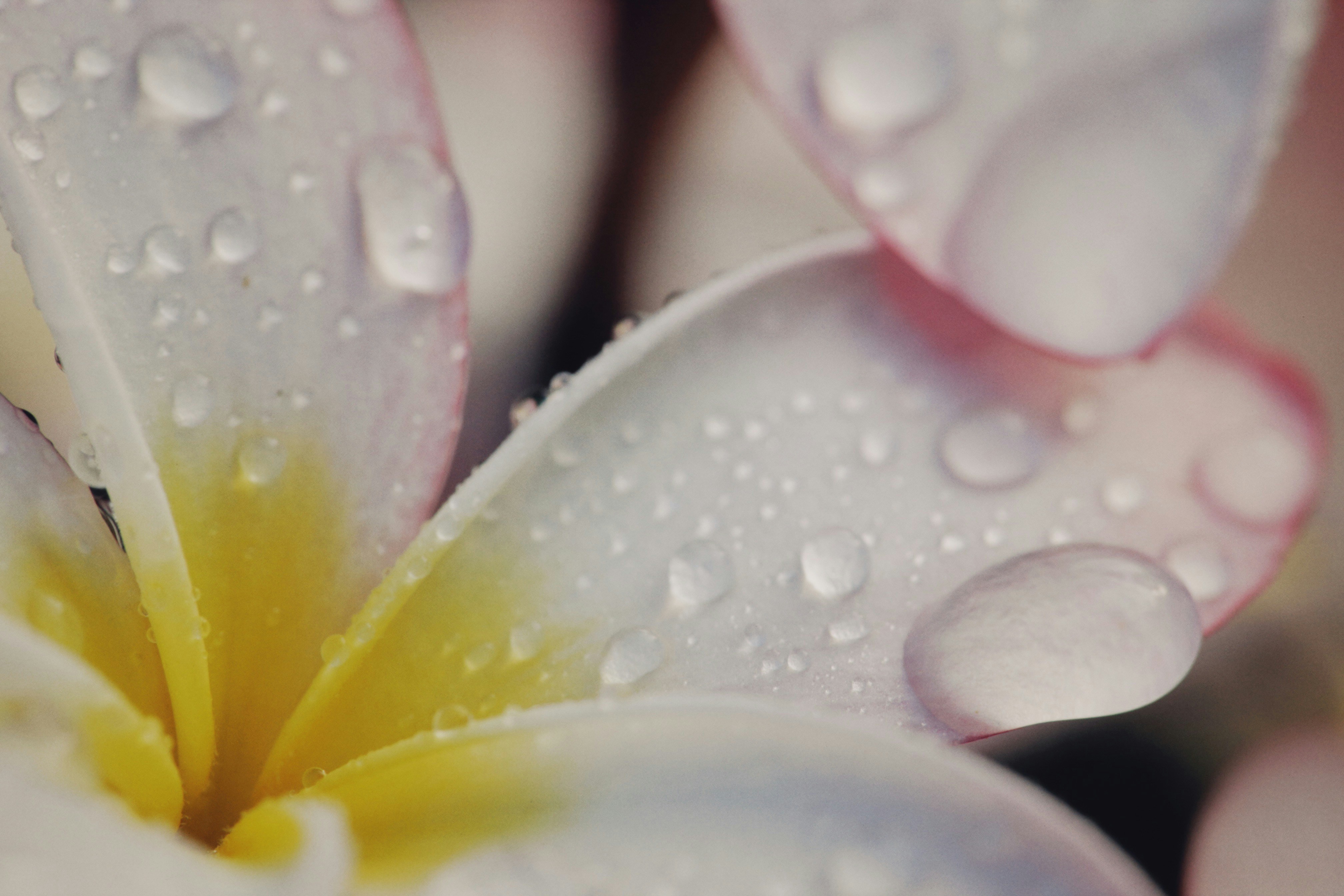 Photo by alexeydemidov