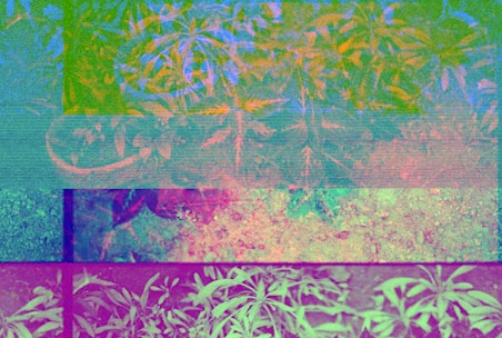 A glitchy image of plant leaves in various abstract colors, with visible pixels and distortion patterns.