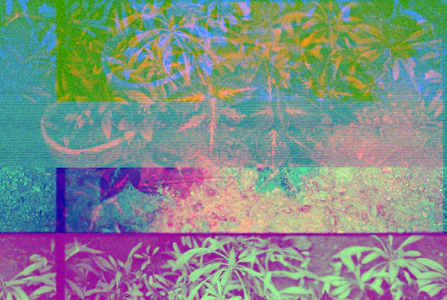 A glitchy, retro computer screen displaying a surreal landscape of distorted faces and checkerboard skies.