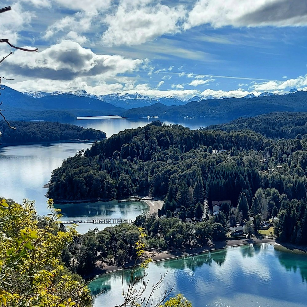 green trees near lake under white clouds and blue sky during daytime