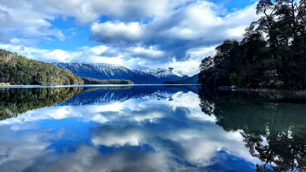 green trees beside lake under white clouds and blue sky during daytime