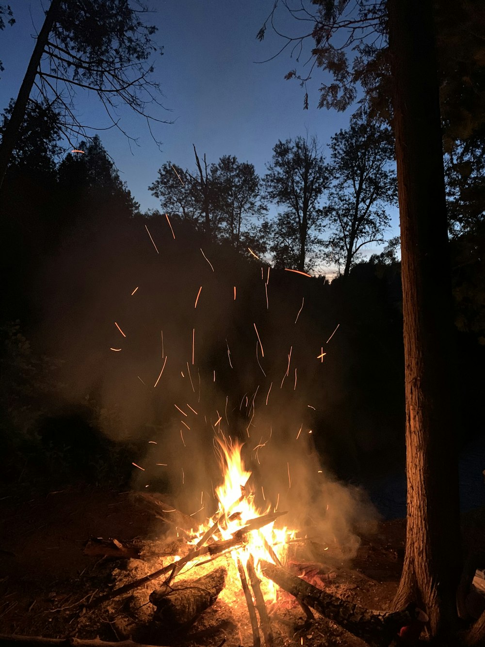 Feu sur la forêt pendant la nuit