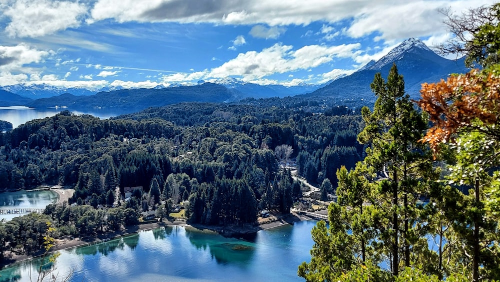 green trees near lake under blue sky during daytime