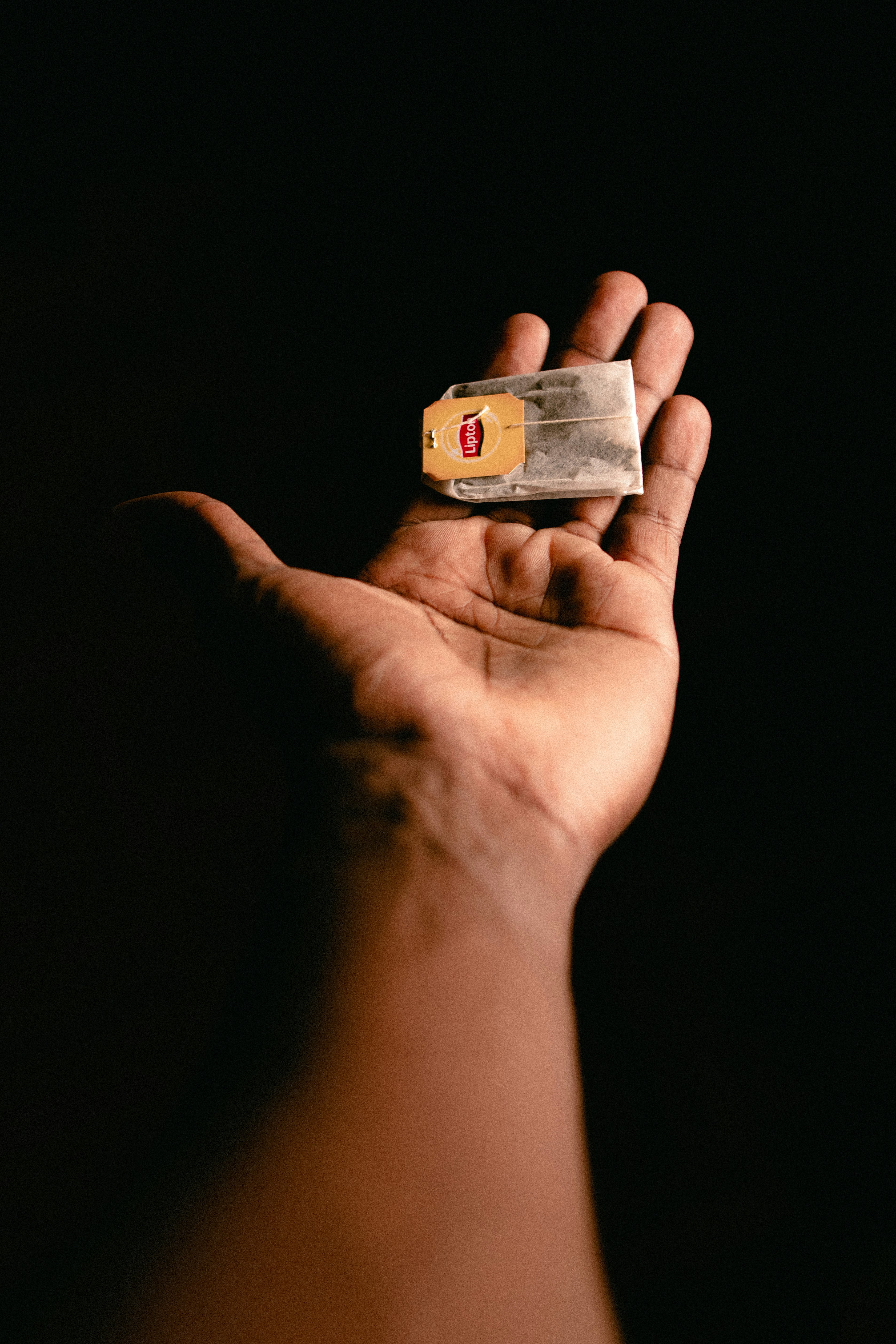person holding 10 us dollar bill