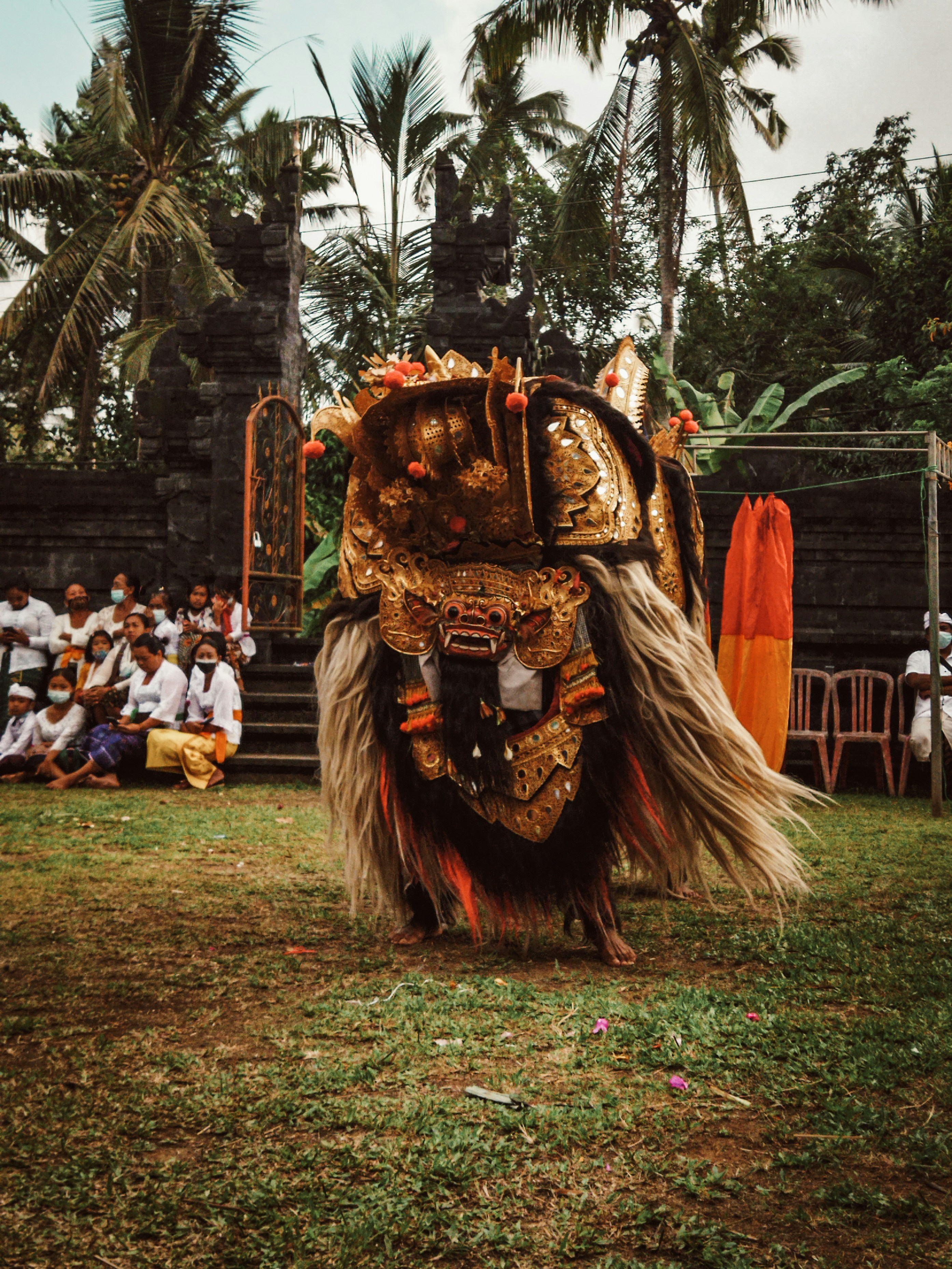 people in lion costume standing on green grass field during daytime