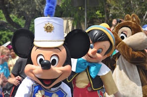 mickey mouse mascot with hat