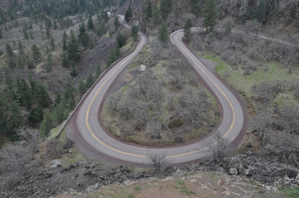 gray concrete road in the middle of green trees