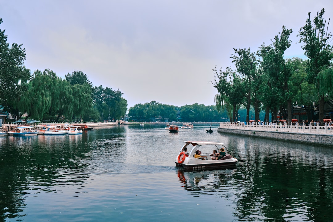 white and red boat on water near green trees during daytime