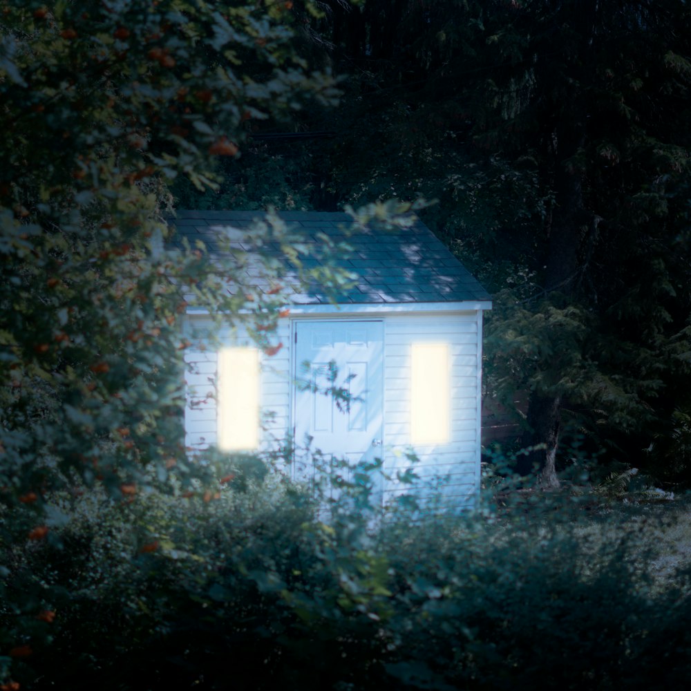 white and blue wooden house in the middle of green trees