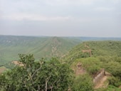 green trees on mountain under white sky during daytime