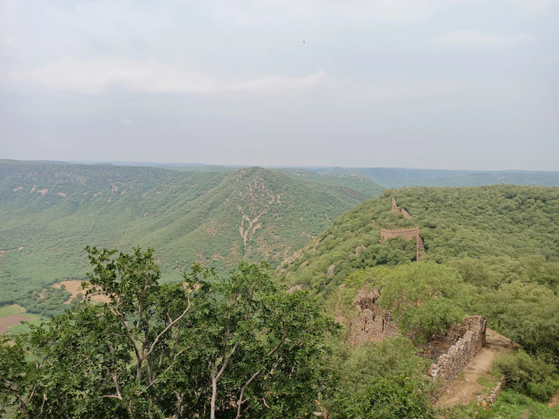 Best Time to Visit Alwar: Month-by-Month Guide for Every Type of Traveller