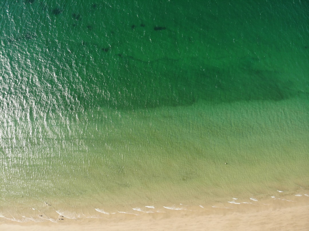 green and white ocean water during daytime