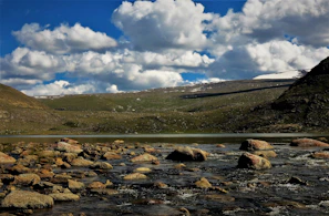green grass field near lake under blue sky during daytime