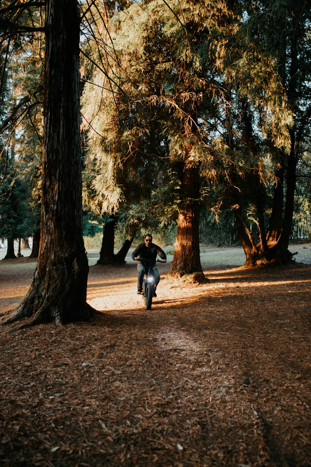 man and woman walking on forest during daytime