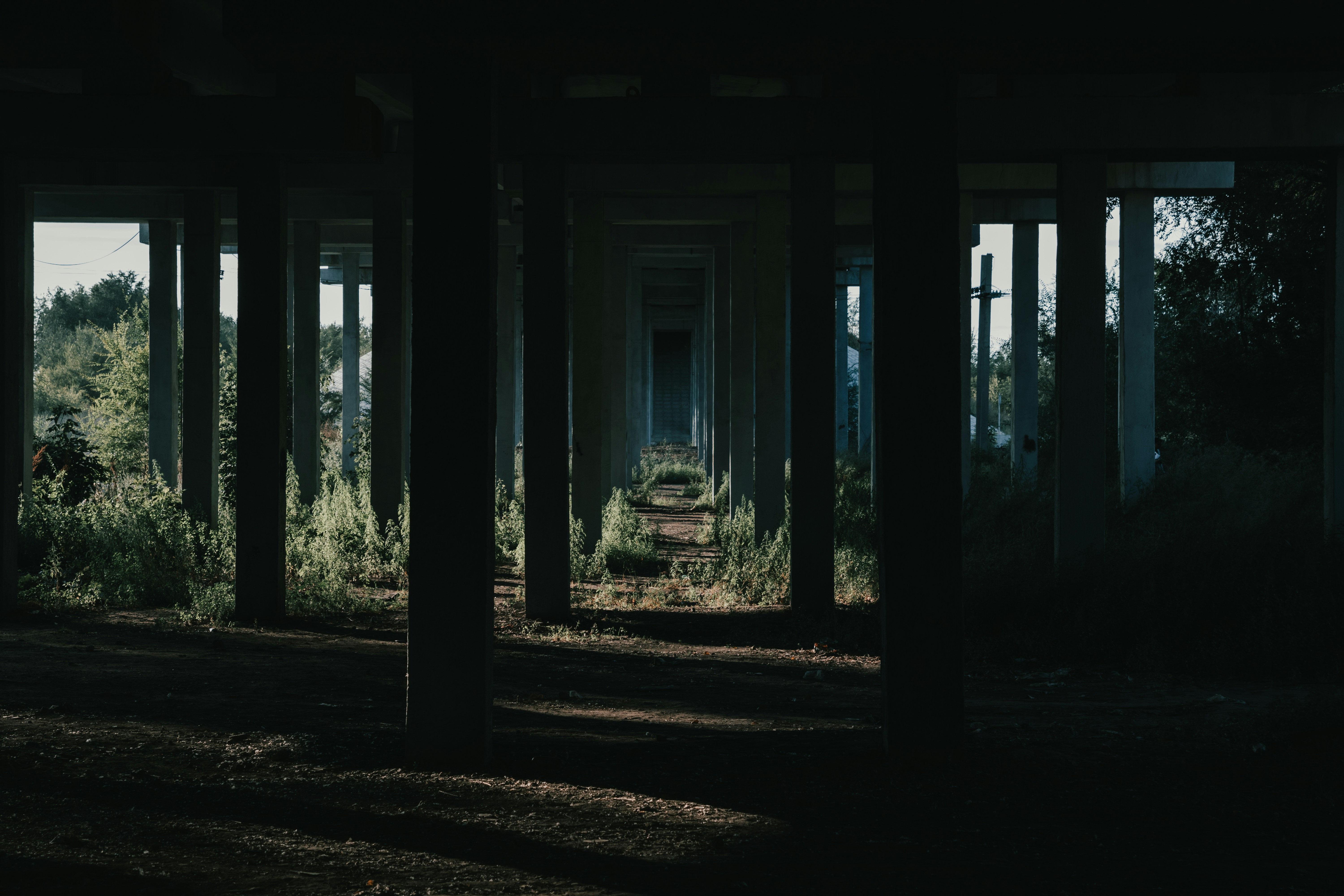 Photo by rubtsovskcat