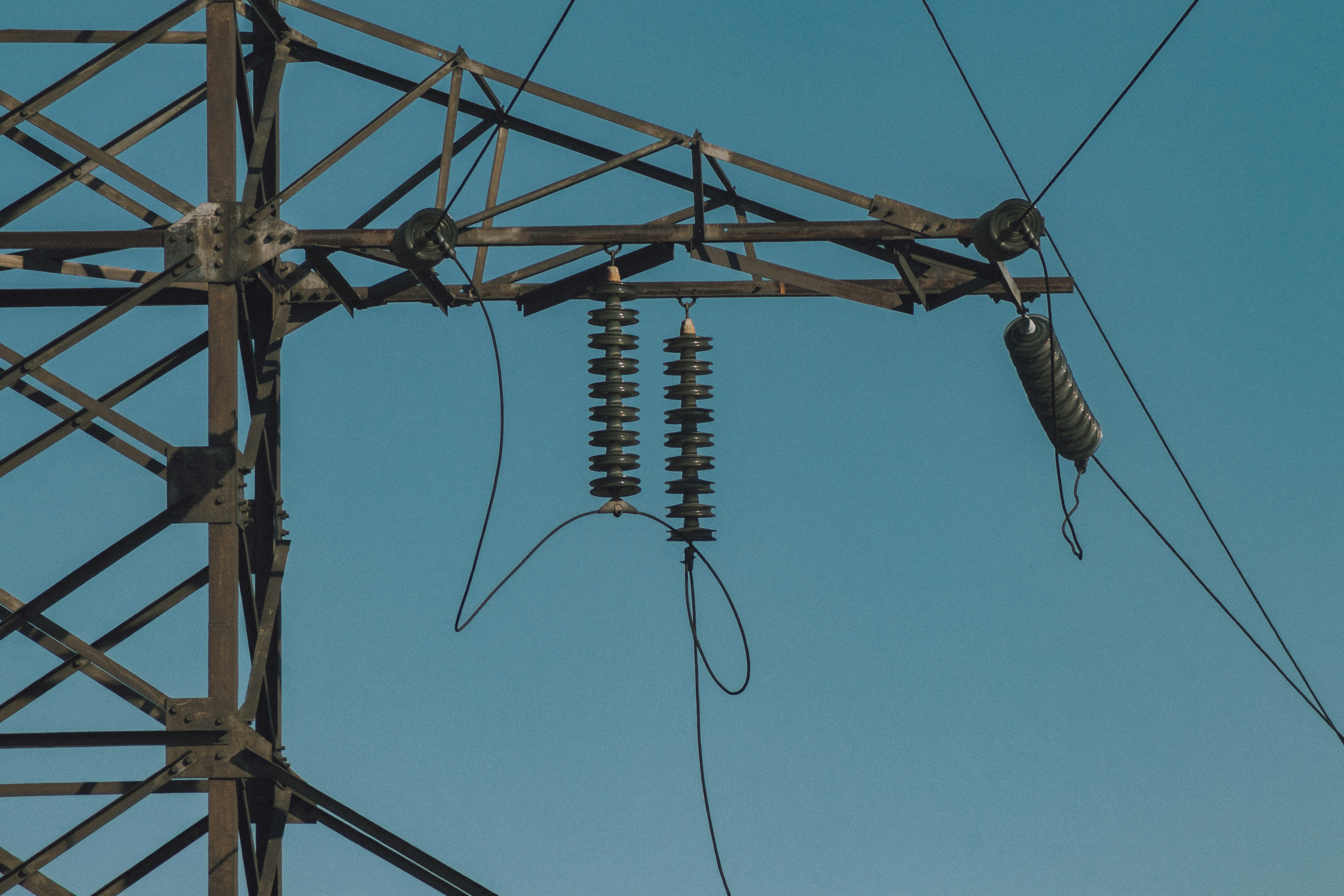 Photo by rubtsovskcat