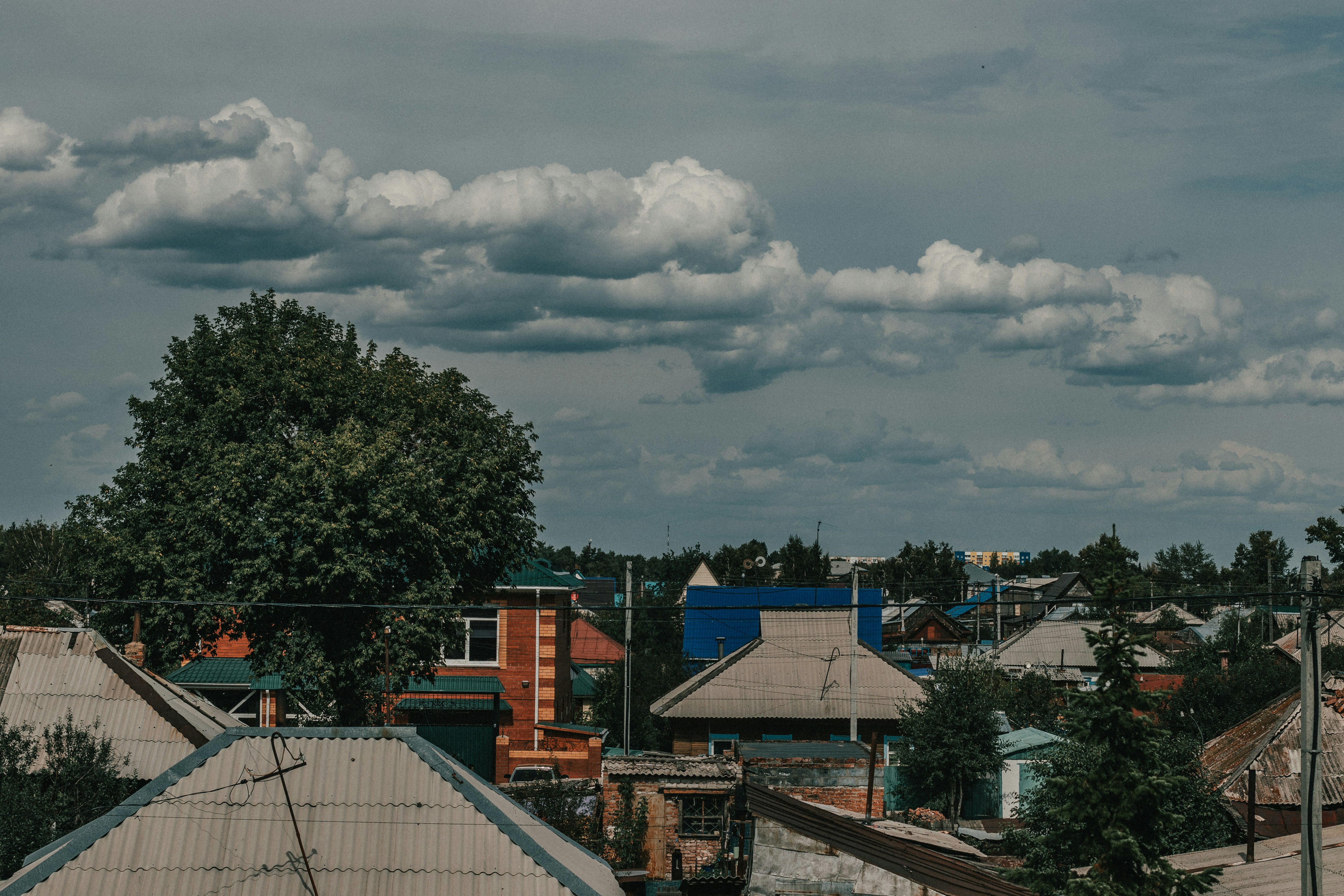 Photo by rubtsovskcat