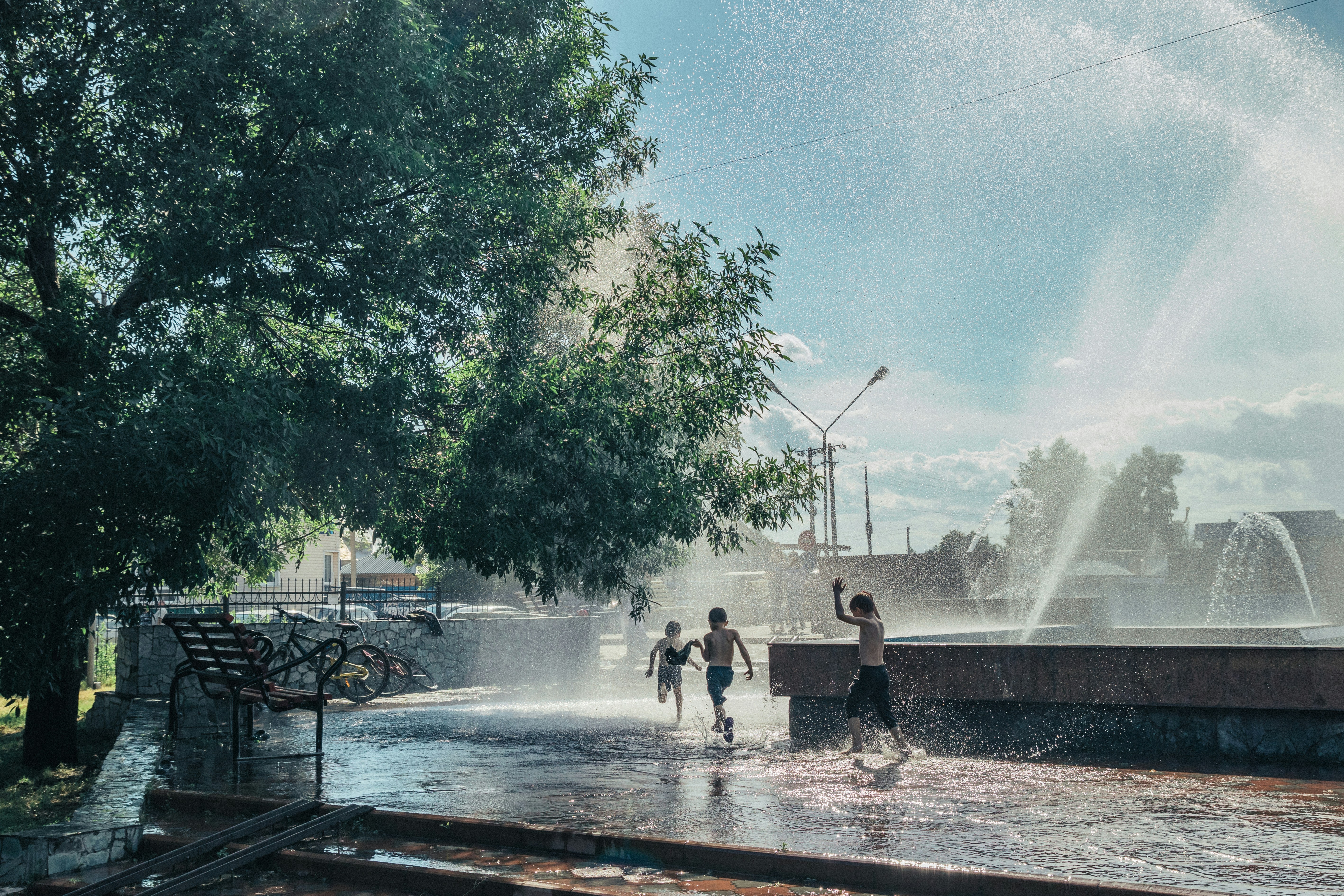 Photo by rubtsovskcat