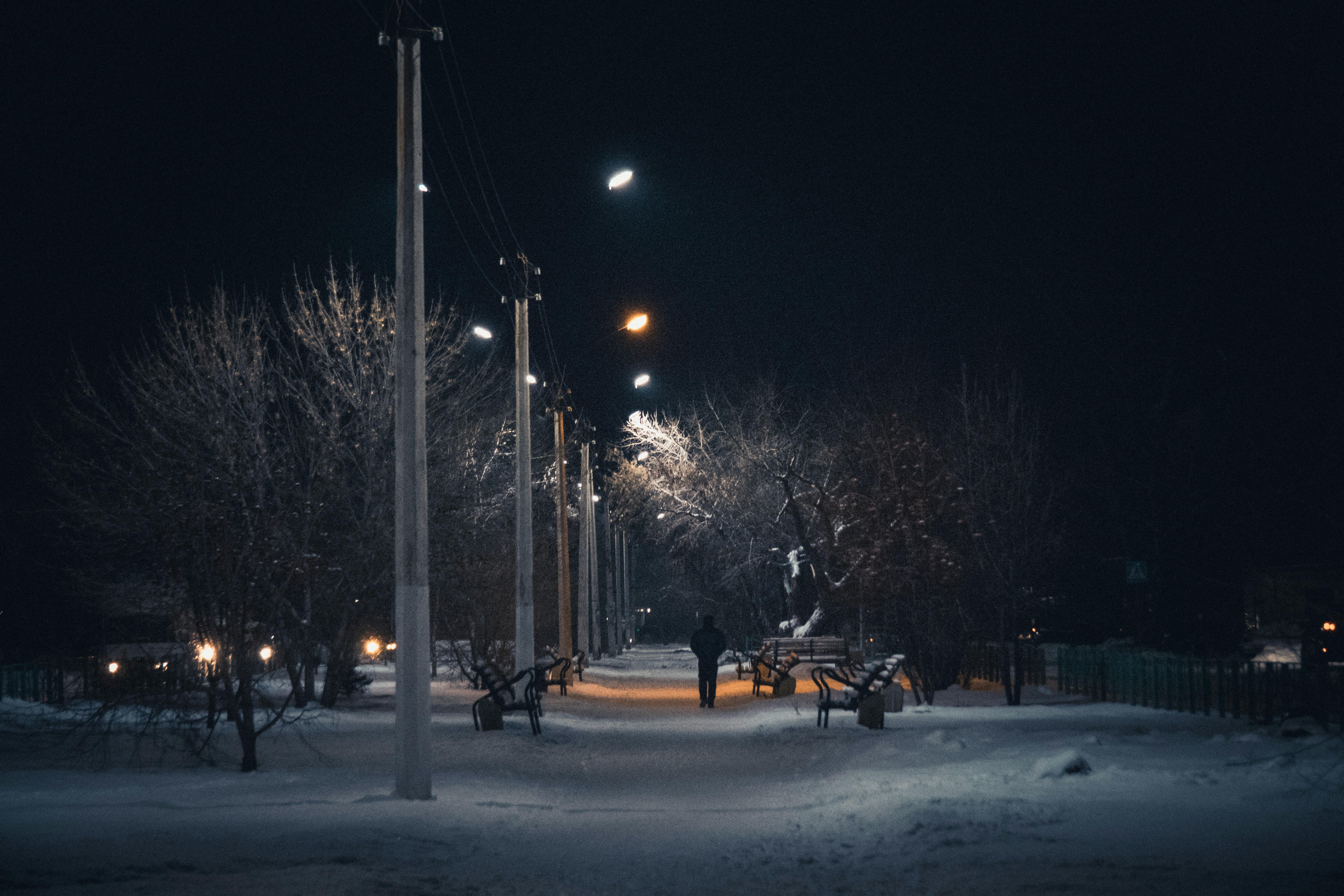 Photo by rubtsovskcat