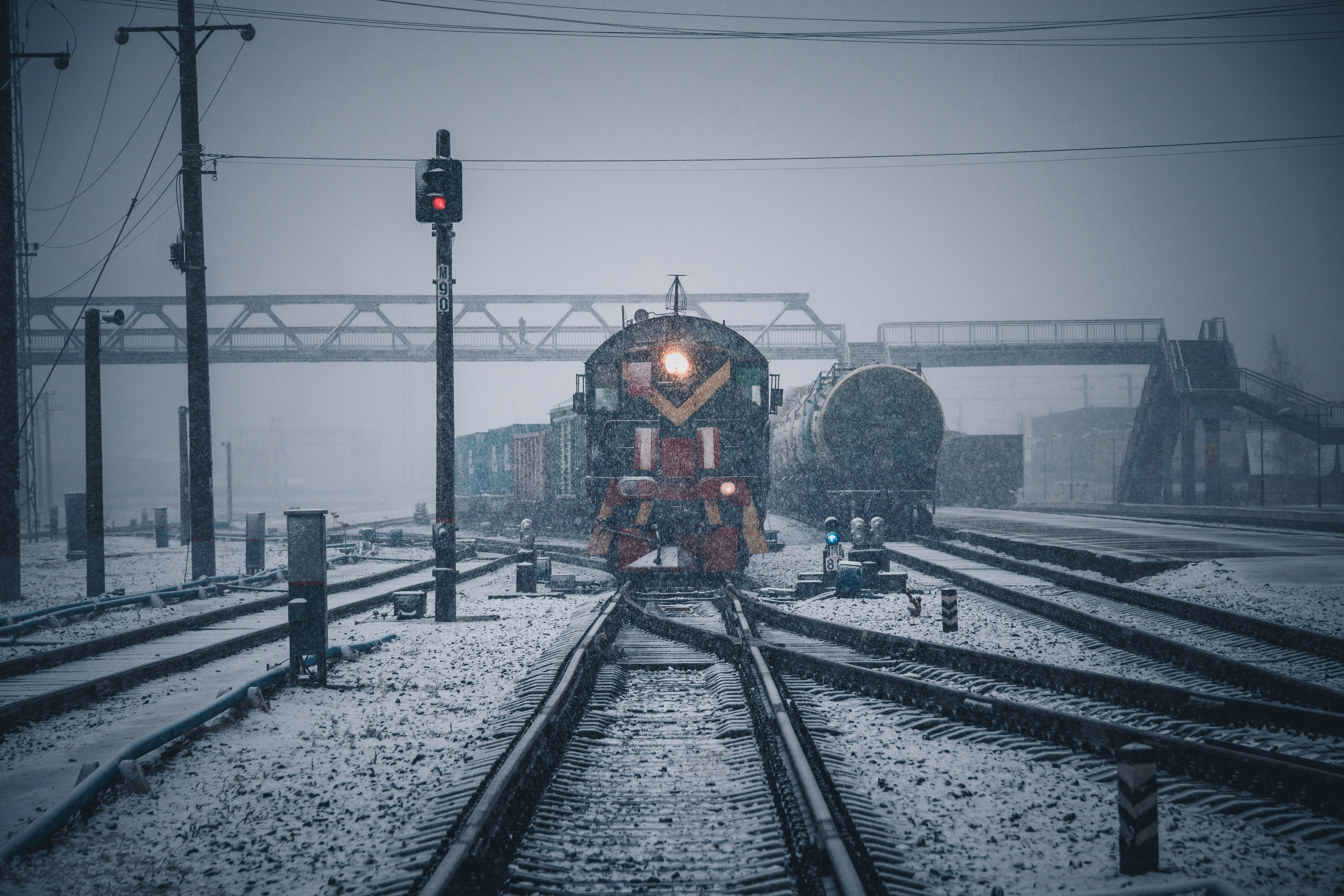 Photo by rubtsovskcat