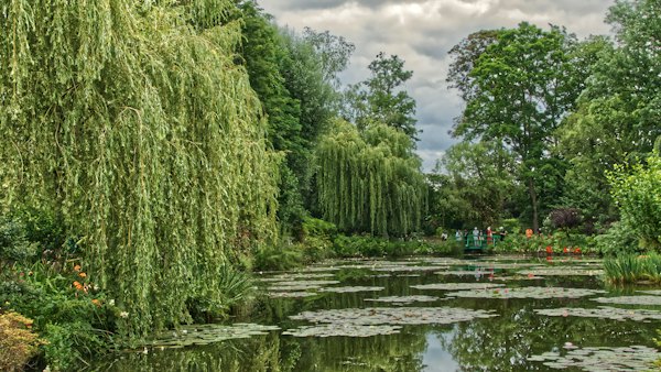 The willows by the pond — Giverny, France