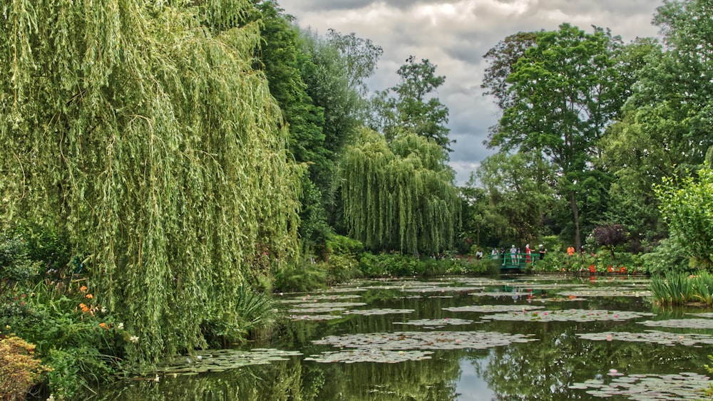 green trees beside river under cloudy sky during daytime