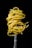 pasta on black plate
