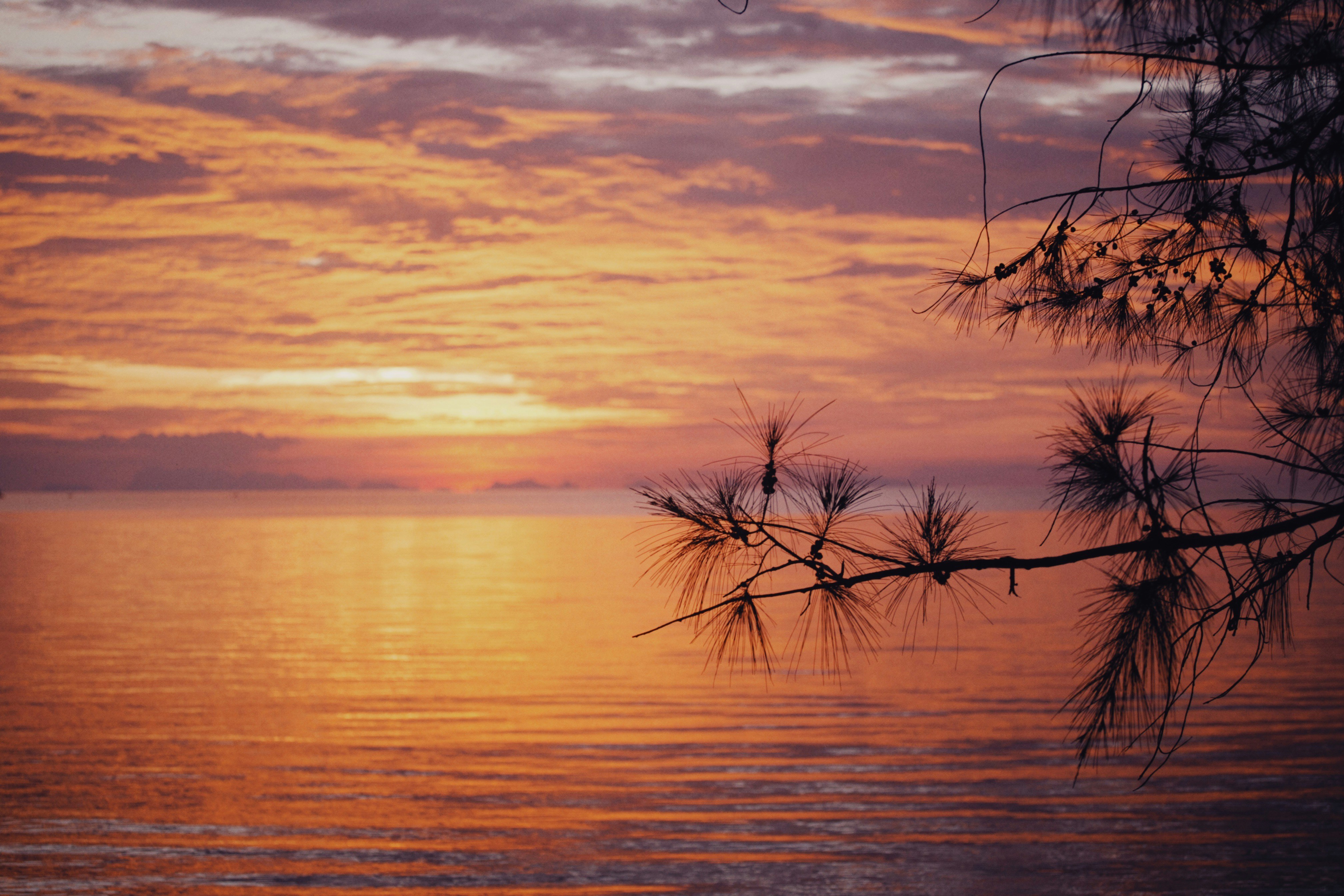 Photo by alexeydemidov