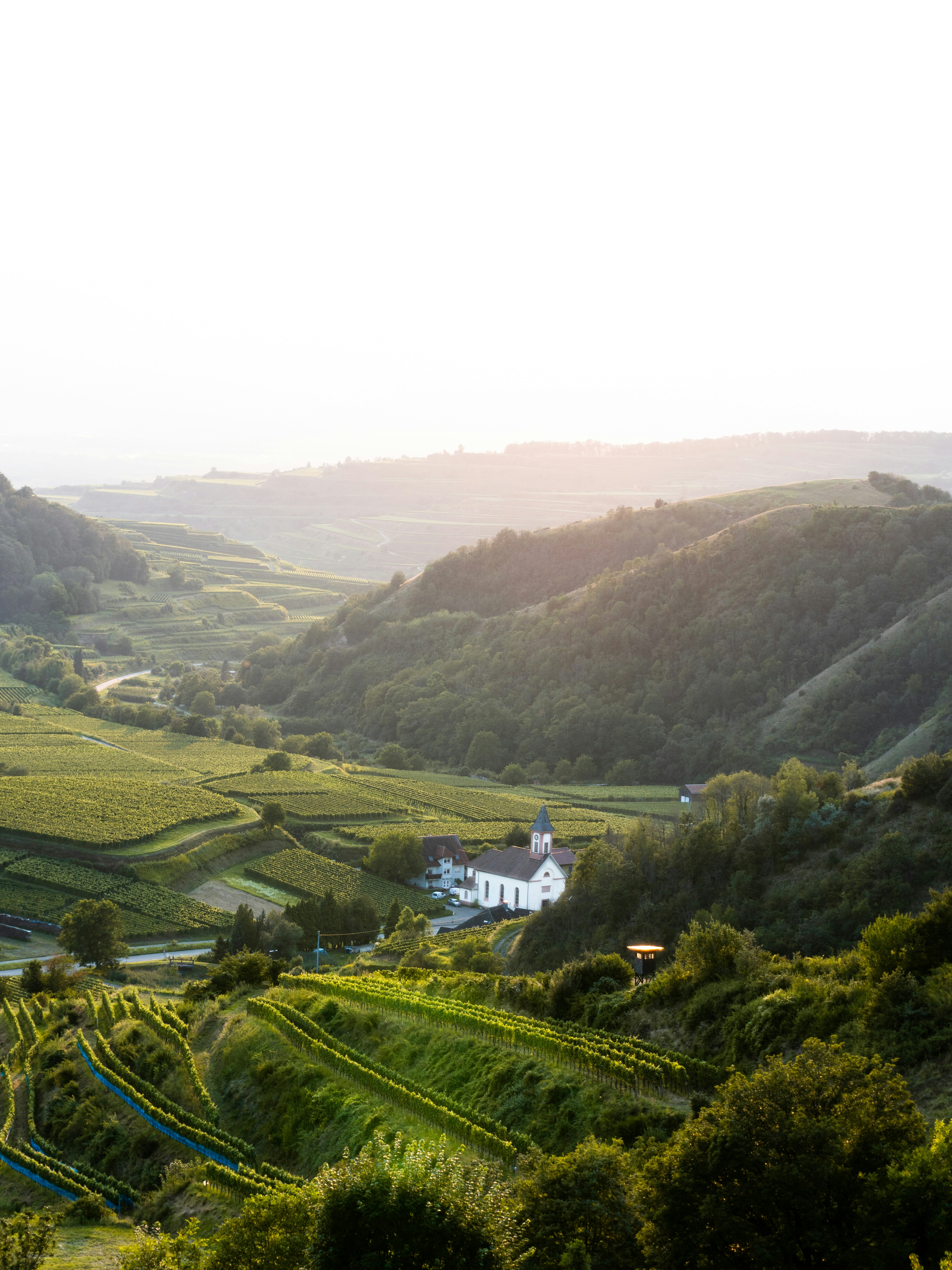 white house on green grass field during daytime
