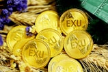 A collection of gold coins with the inscription 'EXU' is placed on a bed of wheat stalks. Purple and yellow flowers are scattered among the coins. A green, textured object, possibly a wallet or book, is partially visible at the top right.