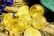 A collection of gold coins with the inscription 'EXU' is placed on a bed of wheat stalks. Purple and yellow flowers are scattered among the coins. A green, textured object, possibly a wallet or book, is partially visible at the top right.
