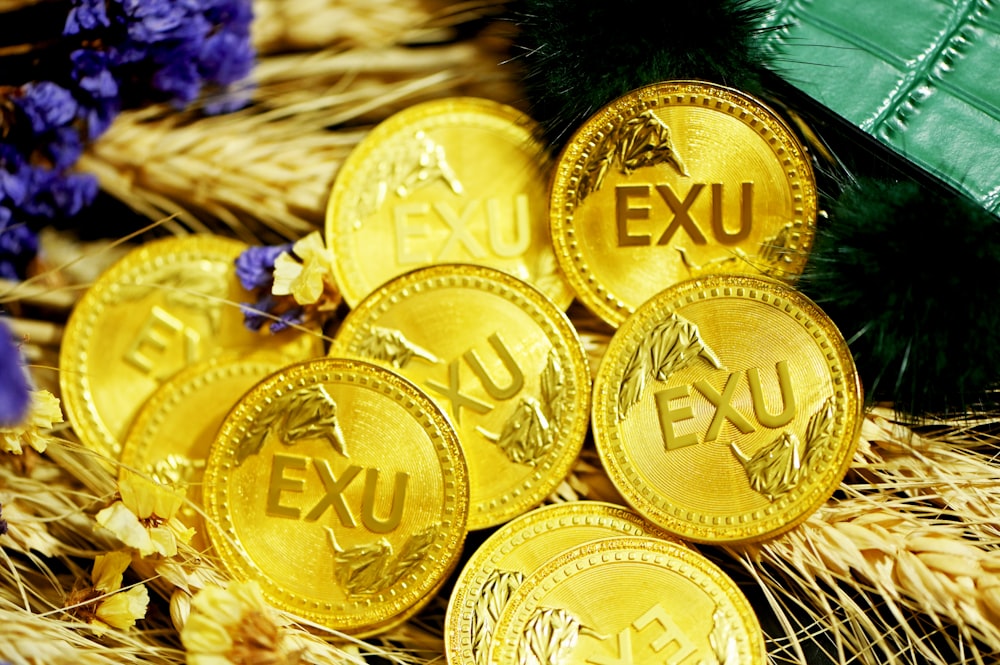 gold and silver round coins