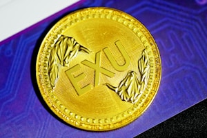 24K Gold Coin