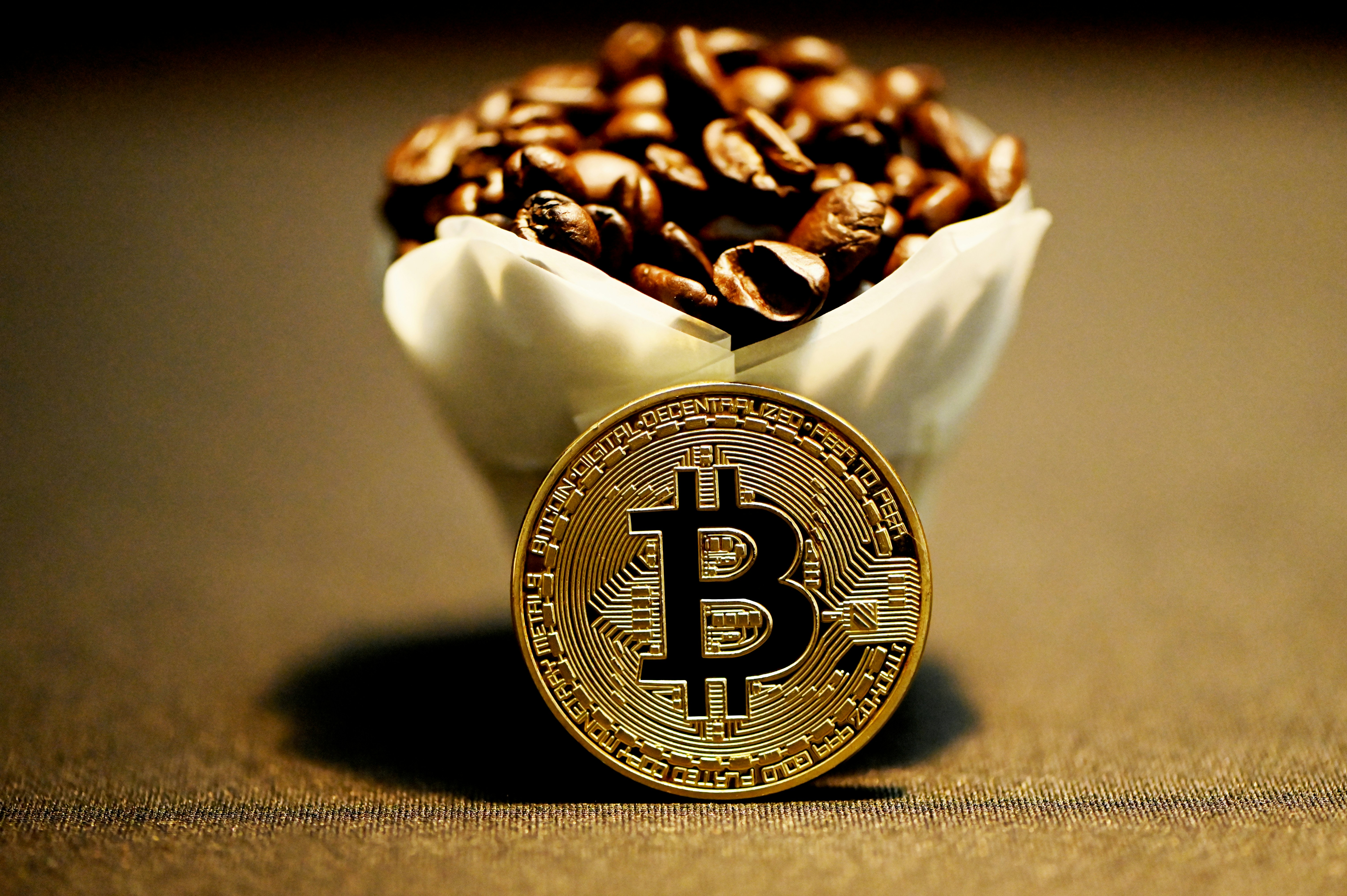 bitcoin growth guide Understanding Cryptocurrency Market Price Movements 2