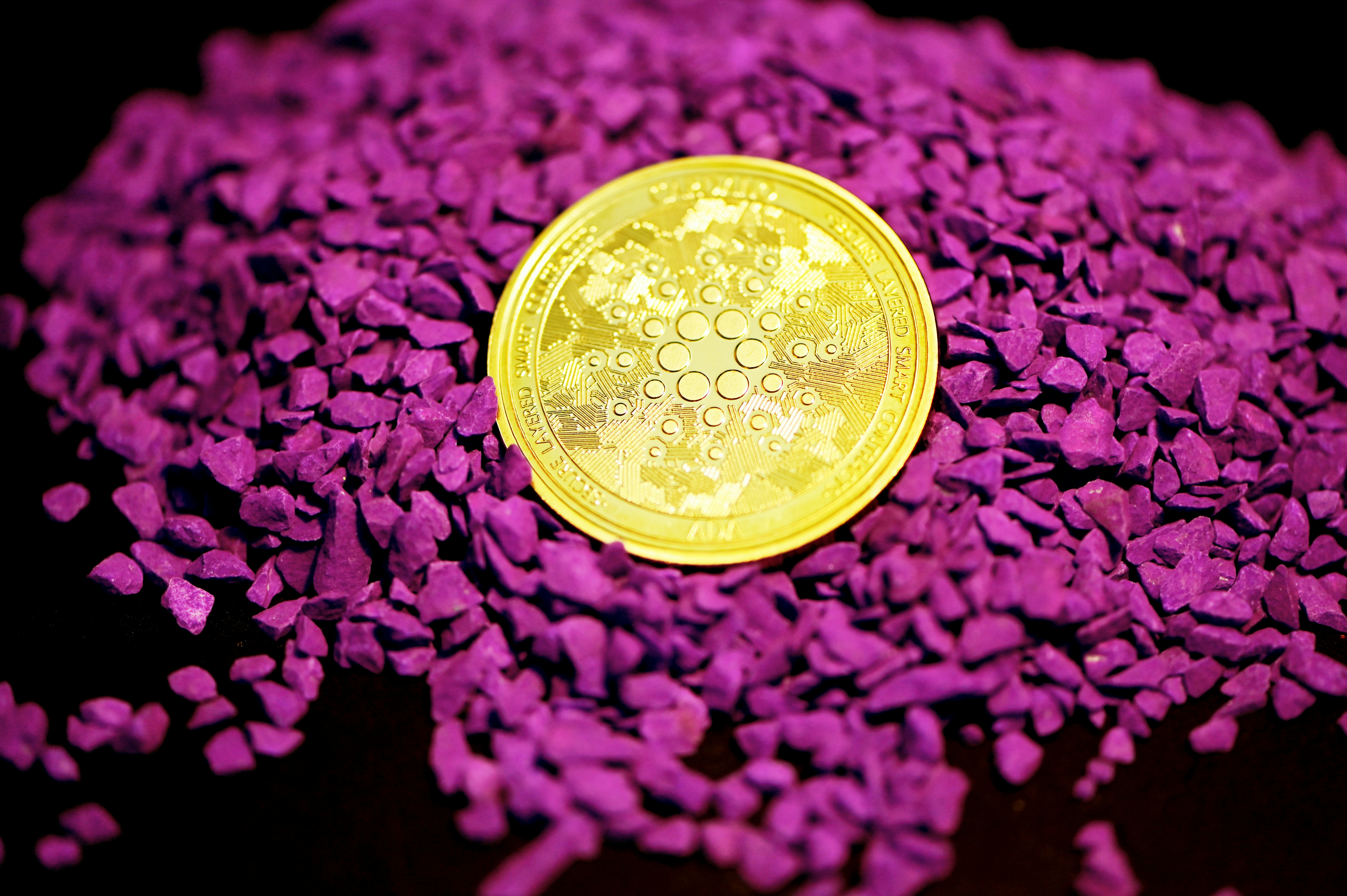 Crypto Guide: What is Cardano, and What are its Use Cases and Features?