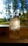 A clear, faceted crystal stands on a windowsill with sunlight streaming through the glass, creating reflections and a play of light. In the background, blurry green trees and a clear blue sky suggest an outdoor setting.