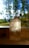 A clear, faceted crystal stands on a windowsill with sunlight streaming through the glass, creating reflections and a play of light. In the background, blurry green trees and a clear blue sky suggest an outdoor setting.