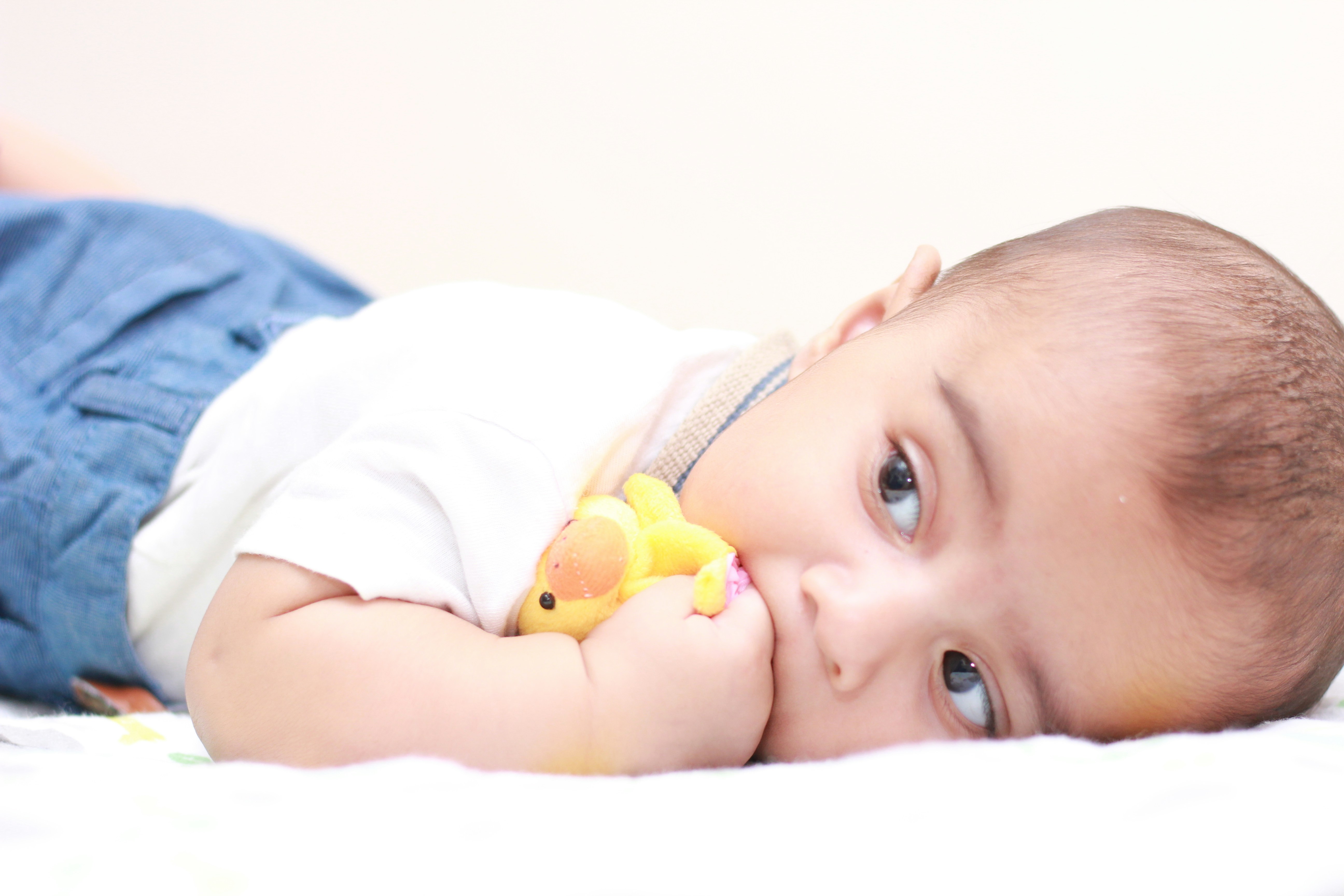 Plush Developmental Bath Toys