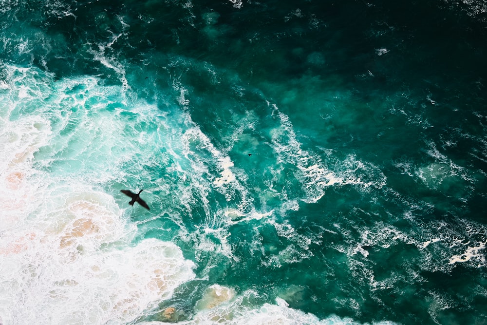 green and white water waves