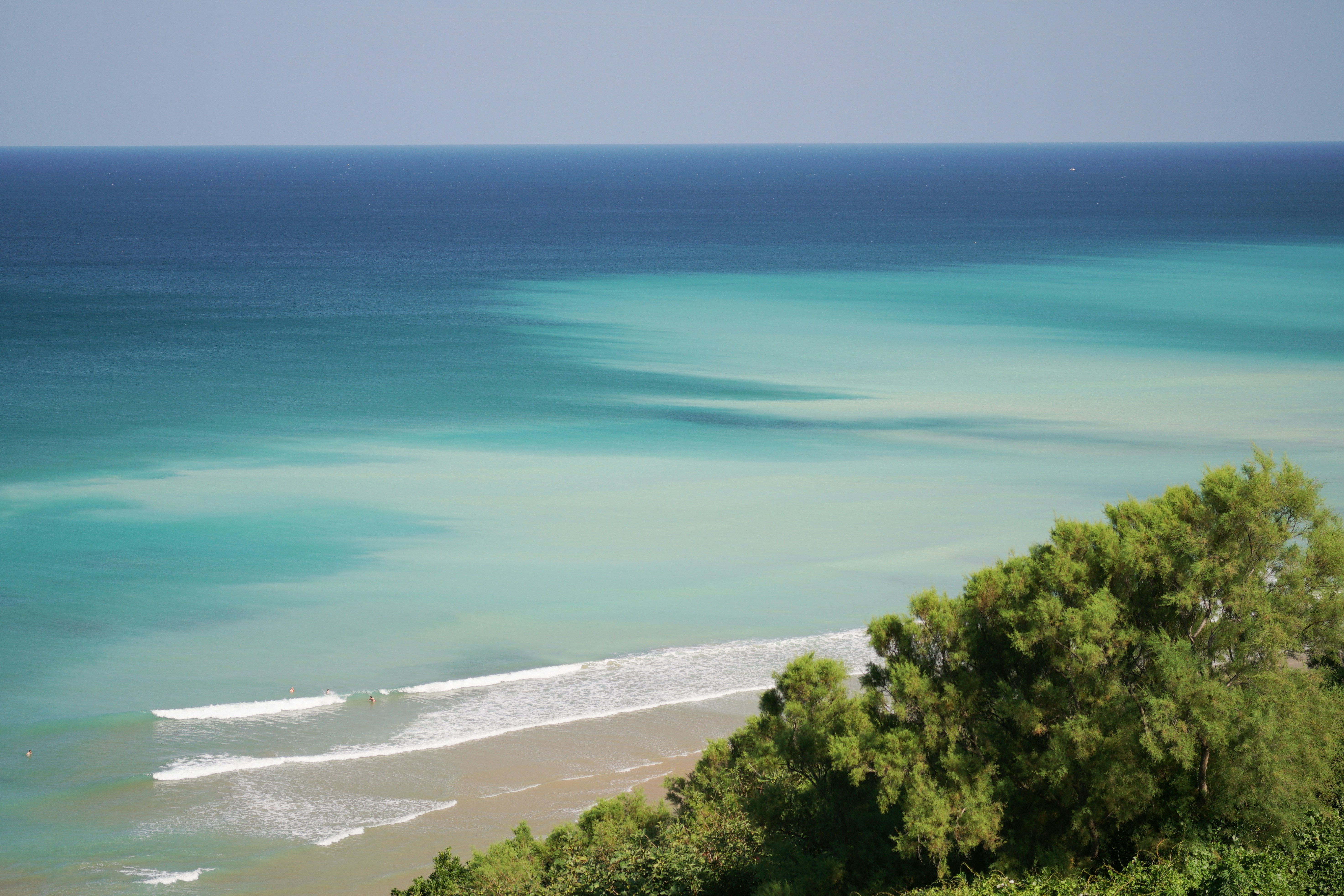 green trees beside blue sea during daytime