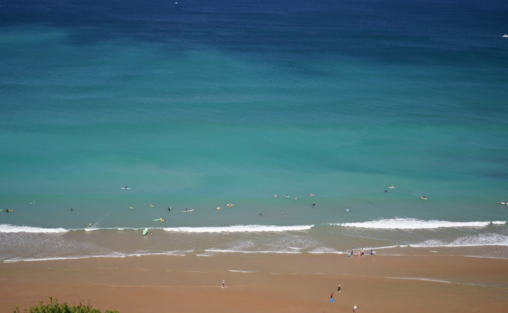 people on beach during daytime