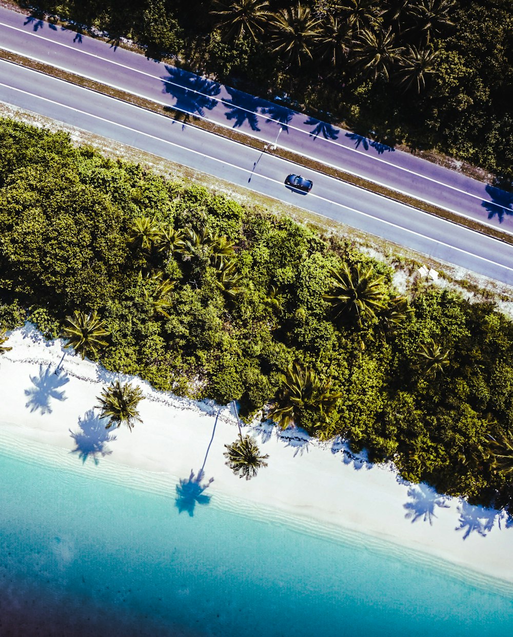 aerial view of people on beach during daytime