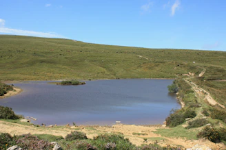 A peaceful green land plot with clear boundaries near a small lake in Šiauliai