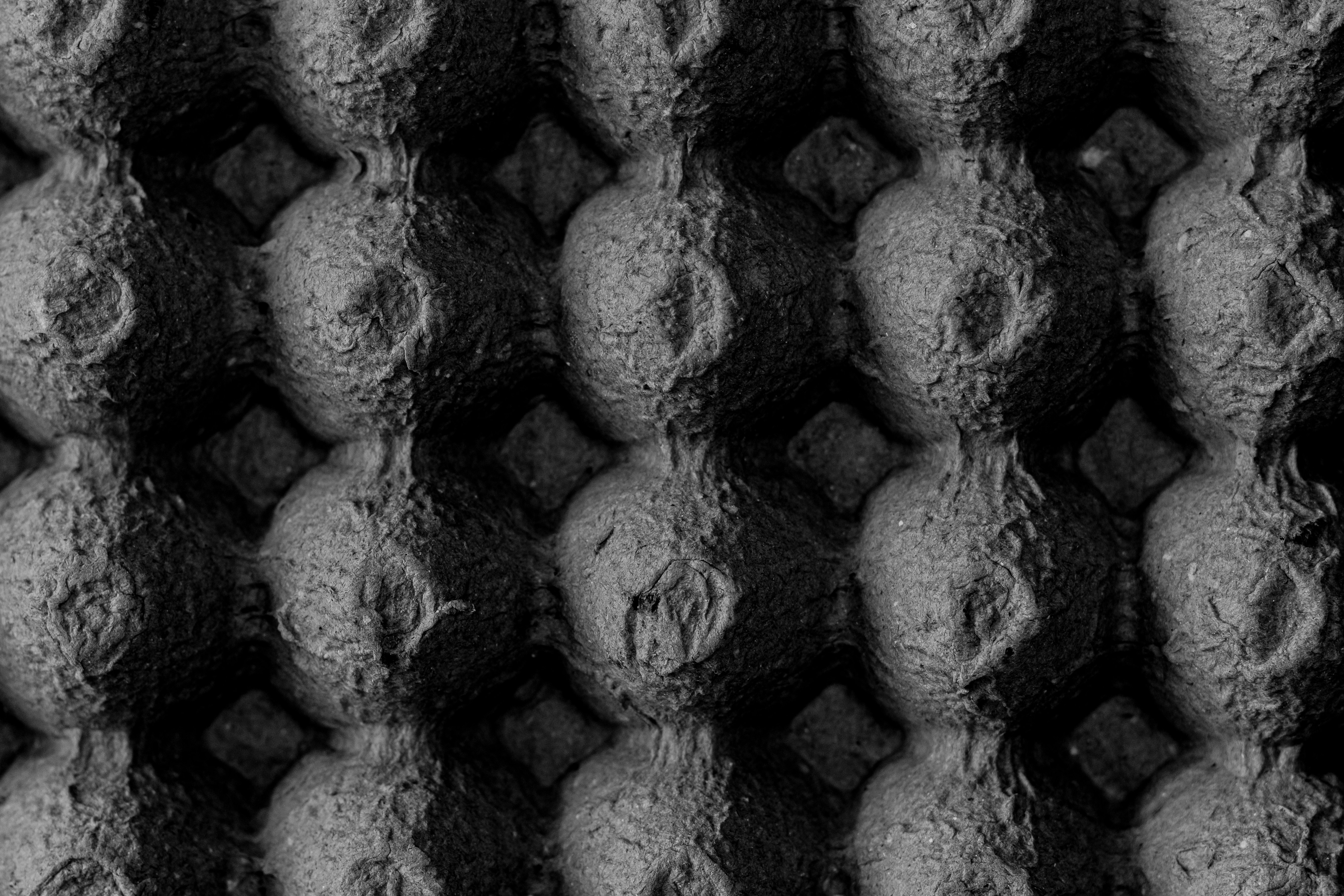 Photo by dylanhendricks