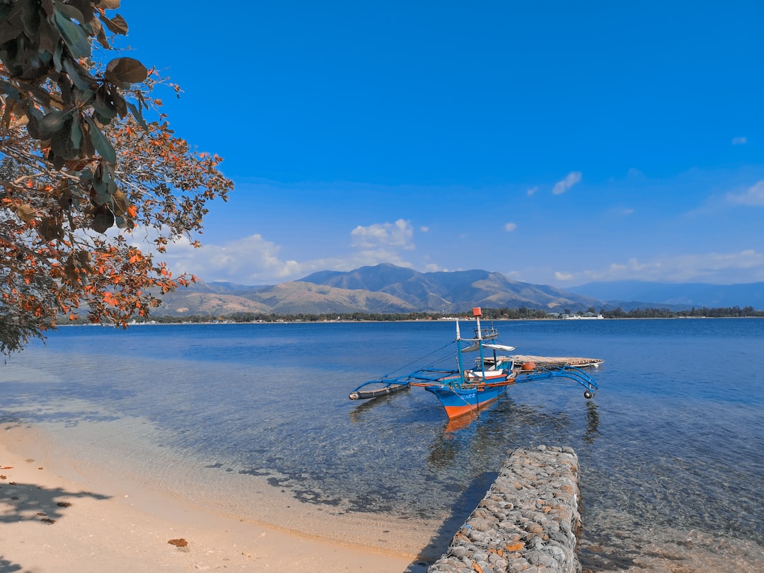 white and red boat on sea shore during daytime