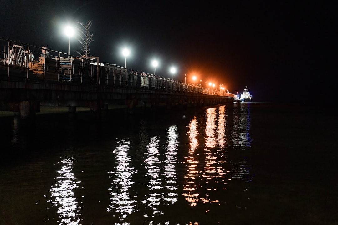 lighted bridge over water during night time