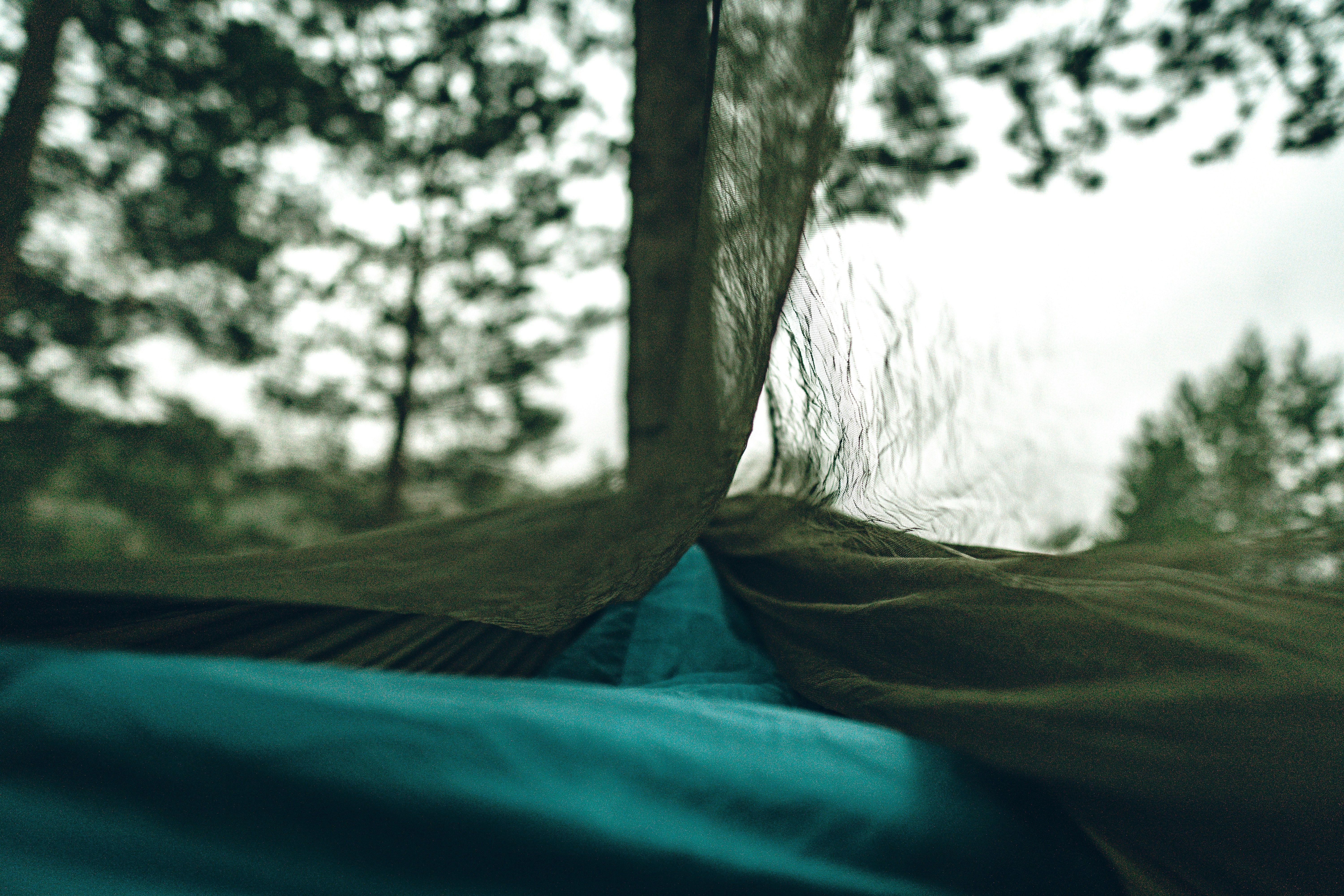 Photo by emillinnebach